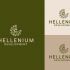 Логотип для греческого застройщика Hellenium Development - дизайнер anlion
