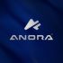 Лого и фирменный стиль для Anora - дизайнер GAMAIUN
