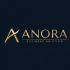 Лого и фирменный стиль для Anora - дизайнер anstep