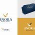 Лого и фирменный стиль для Anora - дизайнер anlion