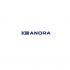 Лого и фирменный стиль для Anora - дизайнер shilina_ya999