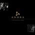 Лого и фирменный стиль для Anora - дизайнер alexz