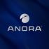 Лого и фирменный стиль для Anora - дизайнер GAMAIUN