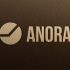 Лого и фирменный стиль для Anora - дизайнер NinaUX