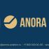 Лого и фирменный стиль для Anora - дизайнер NinaUX