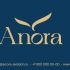 Лого и фирменный стиль для Anora - дизайнер NinaUX