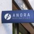 Лого и фирменный стиль для Anora - дизайнер 19_andrey_66