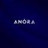 Лого и фирменный стиль для Anora - дизайнер alexz
