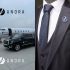 Лого и фирменный стиль для Anora - дизайнер 19_andrey_66