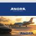 Лого и фирменный стиль для Anora - дизайнер leny88