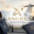 Лого и фирменный стиль для Anora - дизайнер Alenavikt