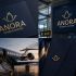 Лого и фирменный стиль для Anora - дизайнер anlion
