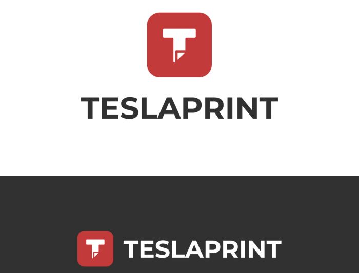 Логотип для teslaprint.store - дизайнер Irena_Branding