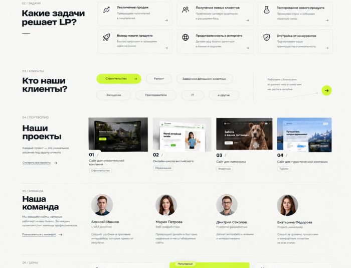 Landing page для https://network-pro.ru/ - дизайнер dnsbasok