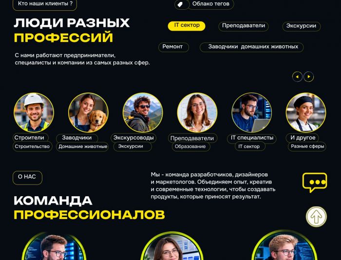 Landing page для https://network-pro.ru/ - дизайнер Celena5platon