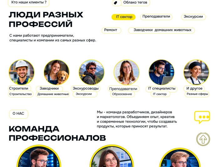 Landing page для https://network-pro.ru/ - дизайнер Celena5platon