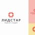 Лого и фирменный стиль для Лидстар - дизайнер anlion